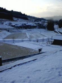 コアラフレンズ つるはら耳鼻科(奈良市) スタッフブログ-110112_0818~0001.jpg