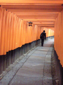 コアラフレンズ つるはら耳鼻科(奈良市) スタッフブログ